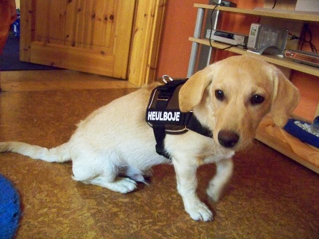 kuehler-063-jpg.115170