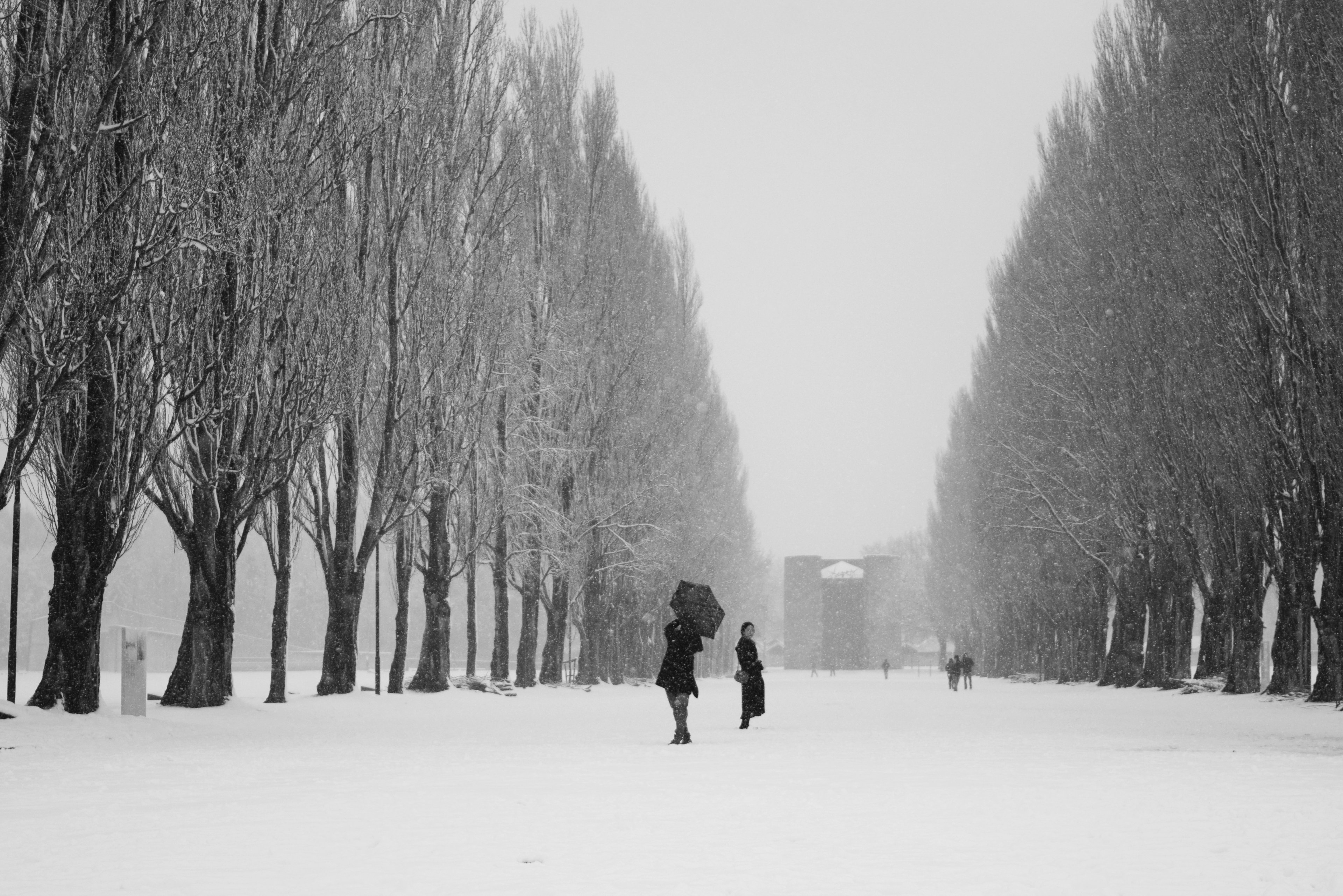 KZ Dachau Winter (5)-01.jpeg