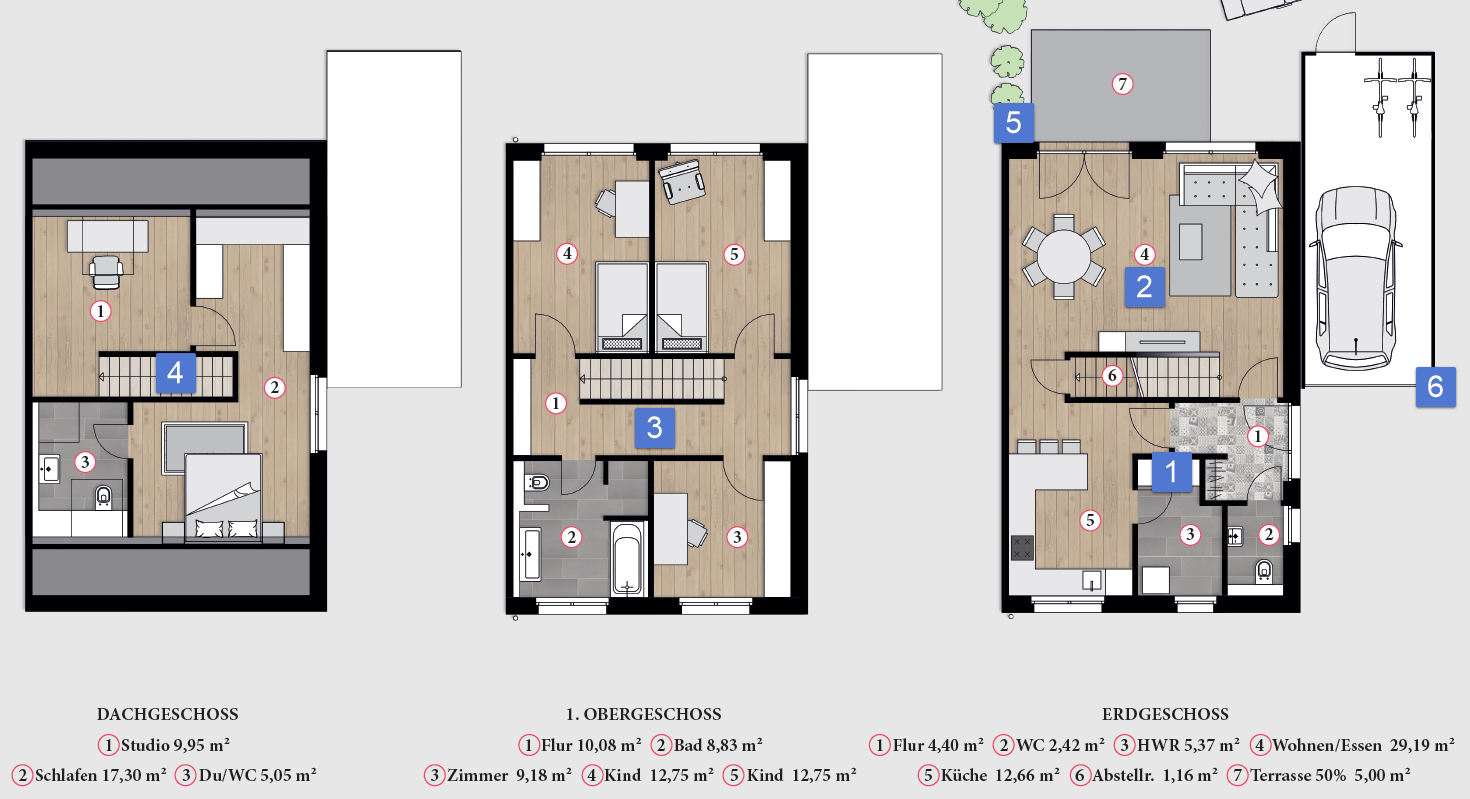 layout.png