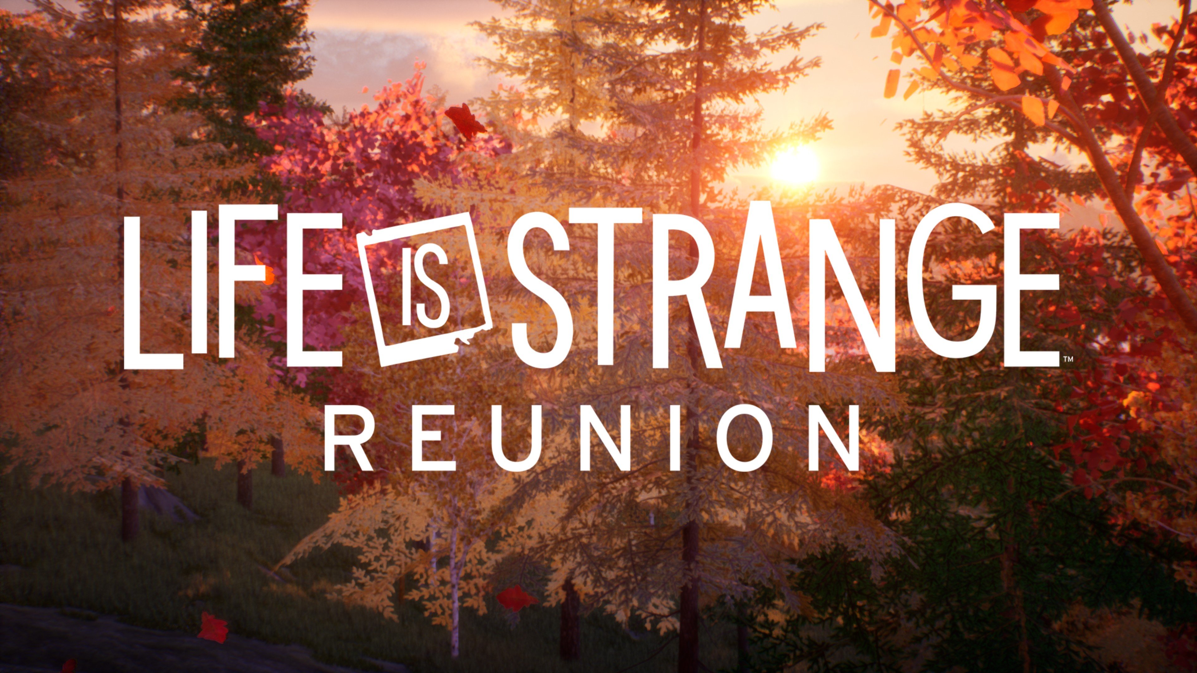 LiS_0.jpg
