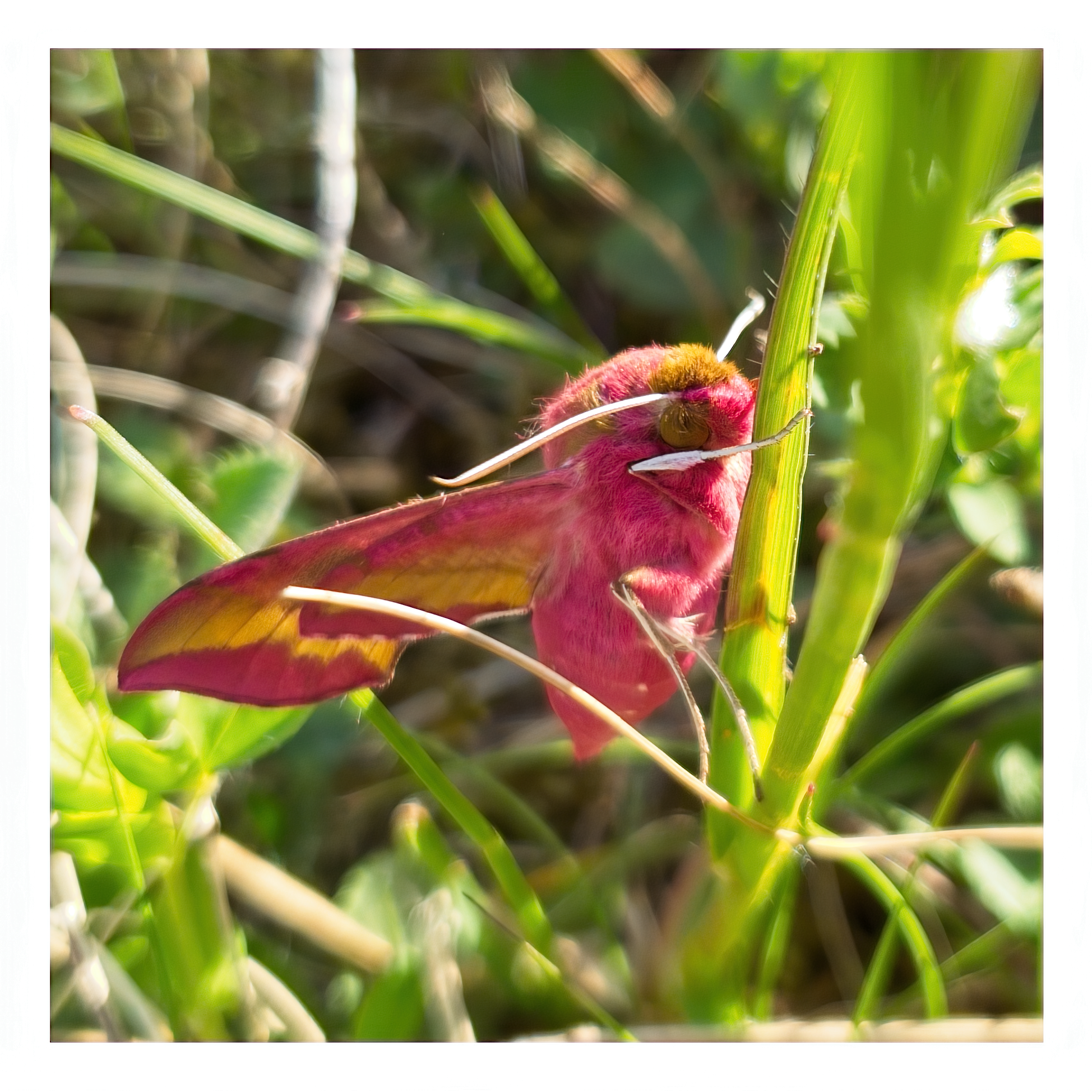 LRM_20250429_174706 1.png