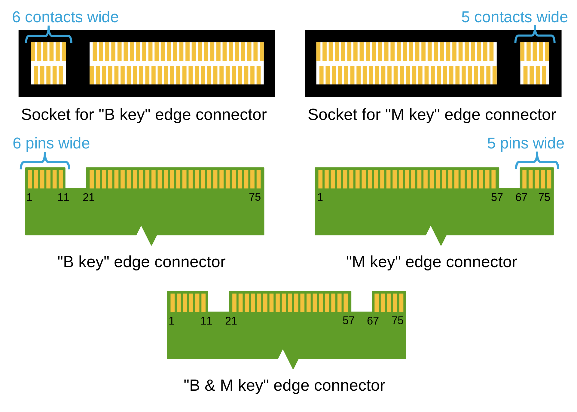 M2_Edge_Connector_Keying.svg.png