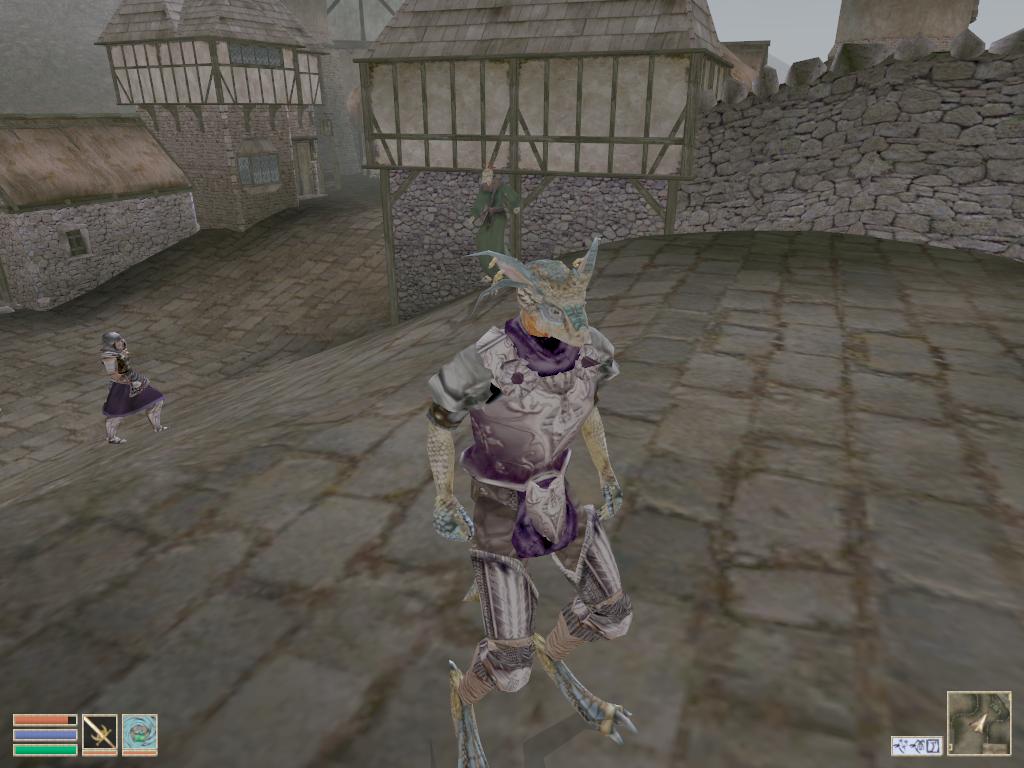 morrowind-2010-07-28-19-11-03-73-jpg.195709