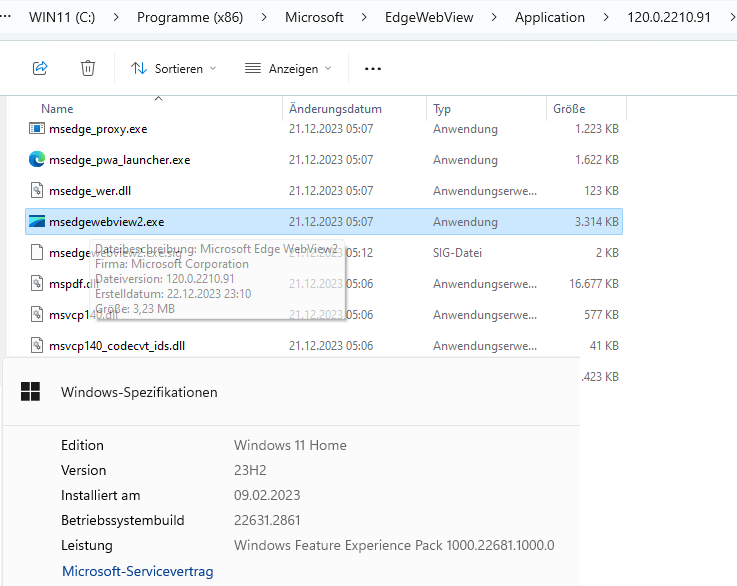 msedgewebview2_WIN11.png