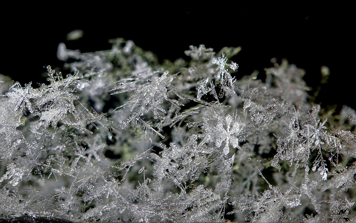 new-out99999_99998_1_nb_klein-jpg.315342