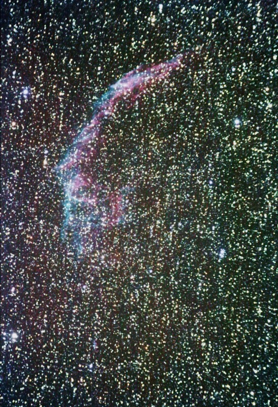 ngc-9665-forum-jpg.250539