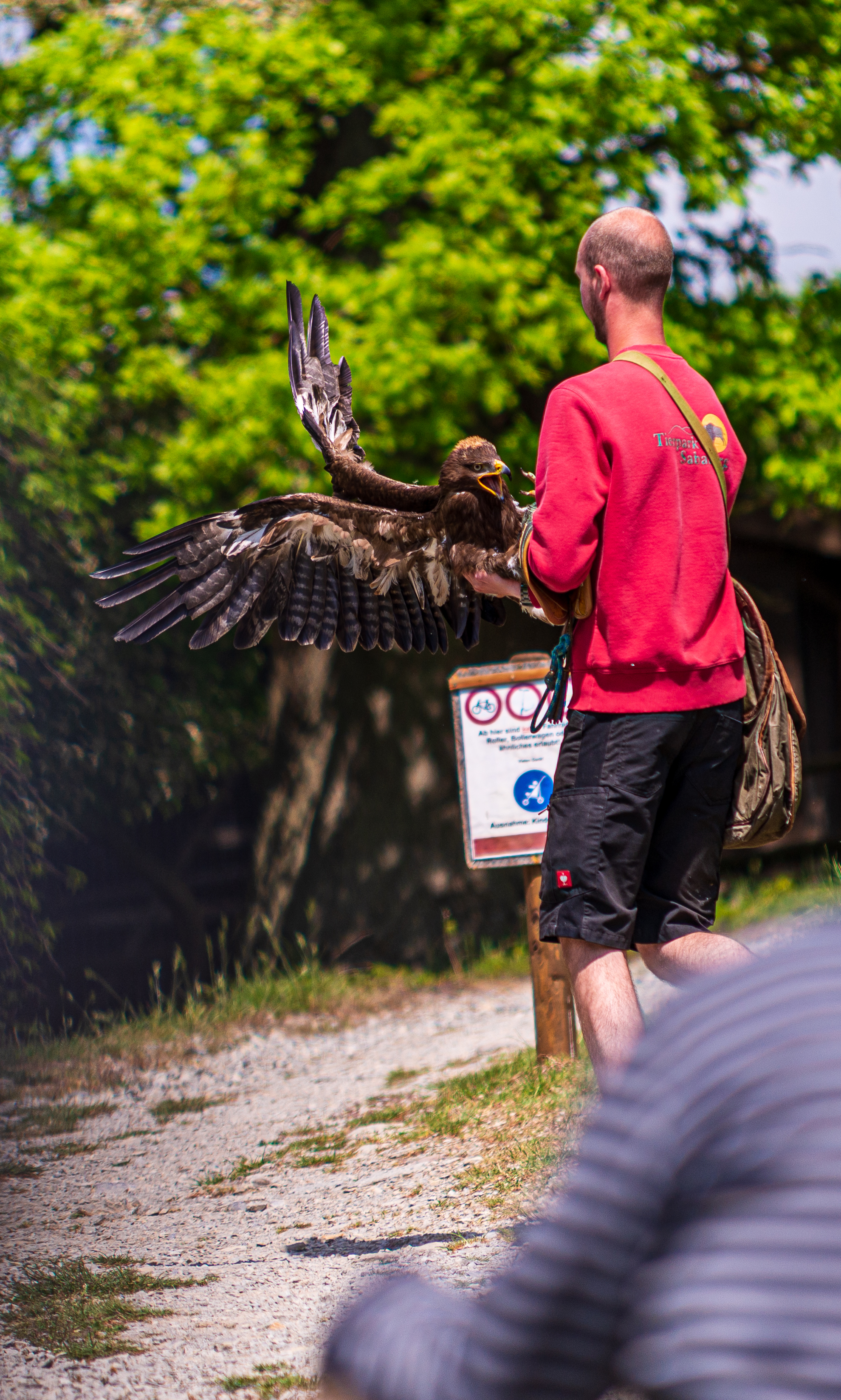 Not so amused Bird.jpg