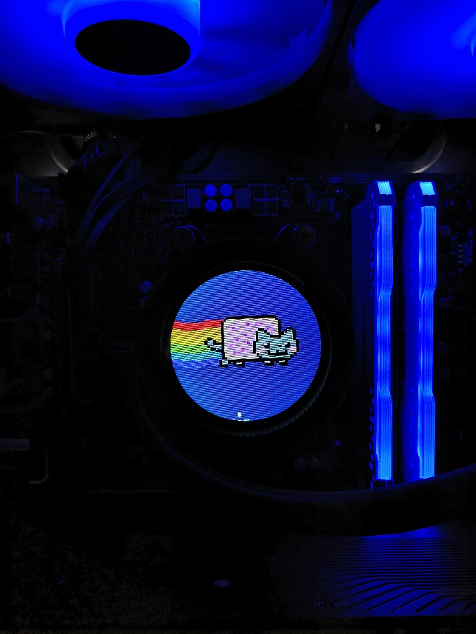 Nyan-Cat.jpg