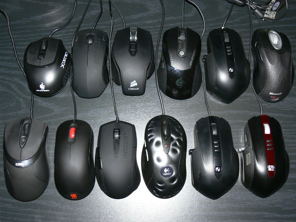 p1000674_1024x768-jpg.294530