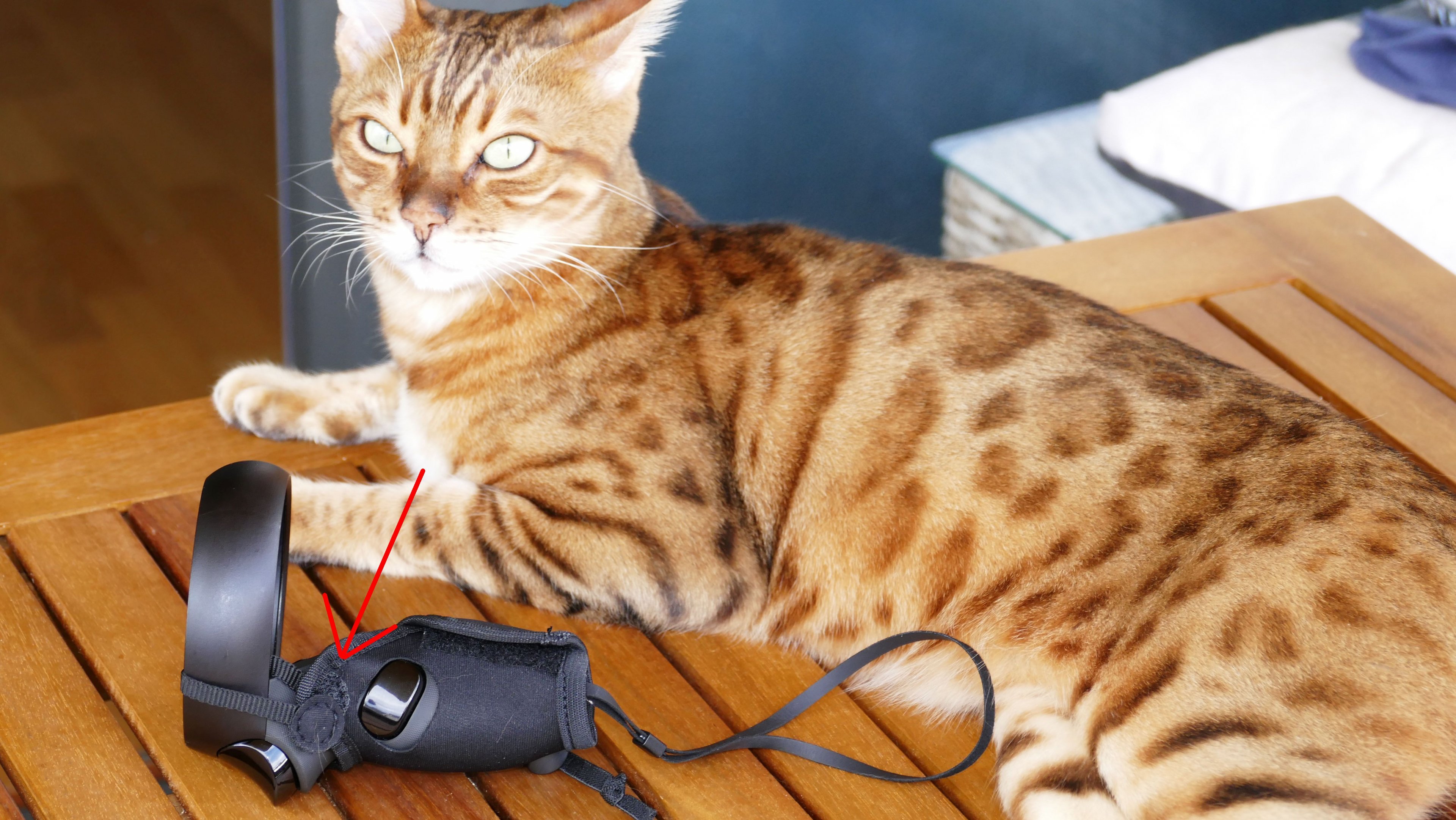 P1530827_mit Pfeil.jpg