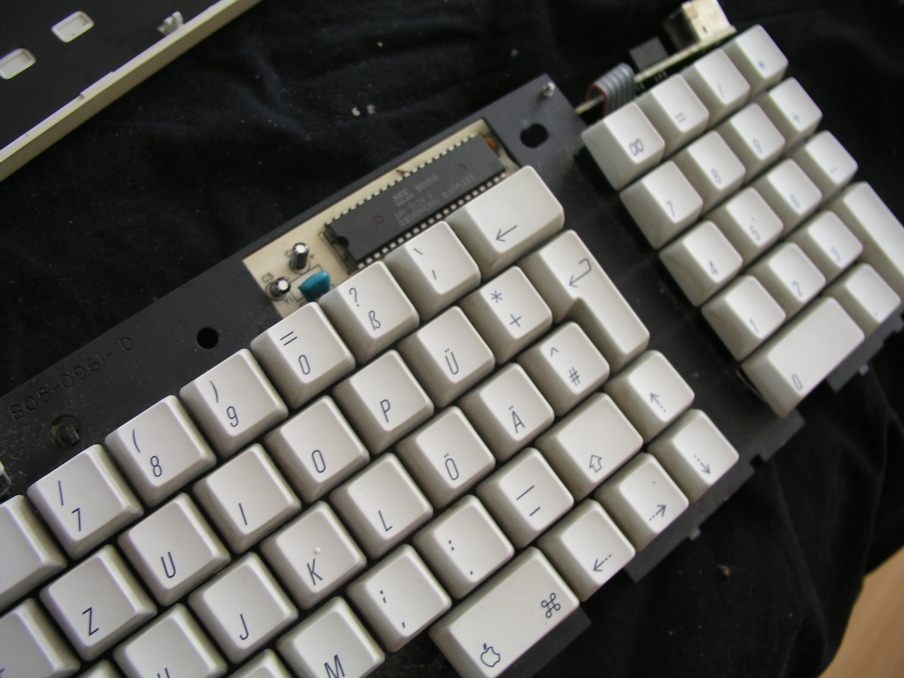 p6050025jzsdy_klein-jpg.345947