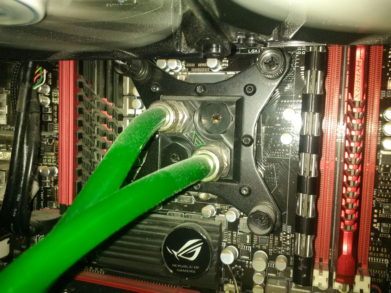 photo5384259388853824325 (1).jpg