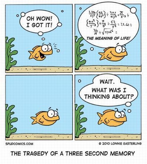 picdump-10-03-12-13-jpg.179719