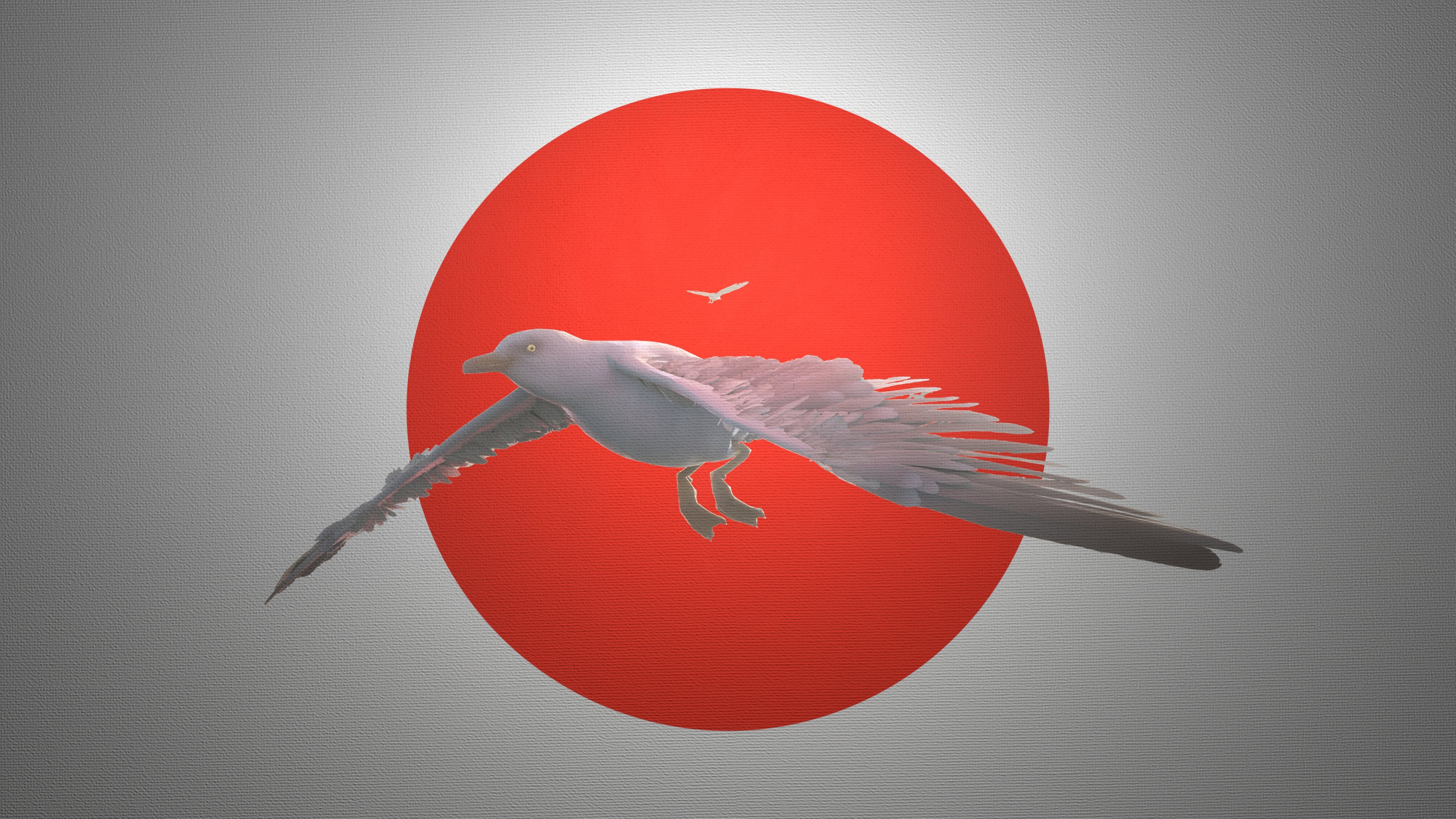 Picturae-Win64-Shipping 2025-05-24 02-10-45_160 After.jpg