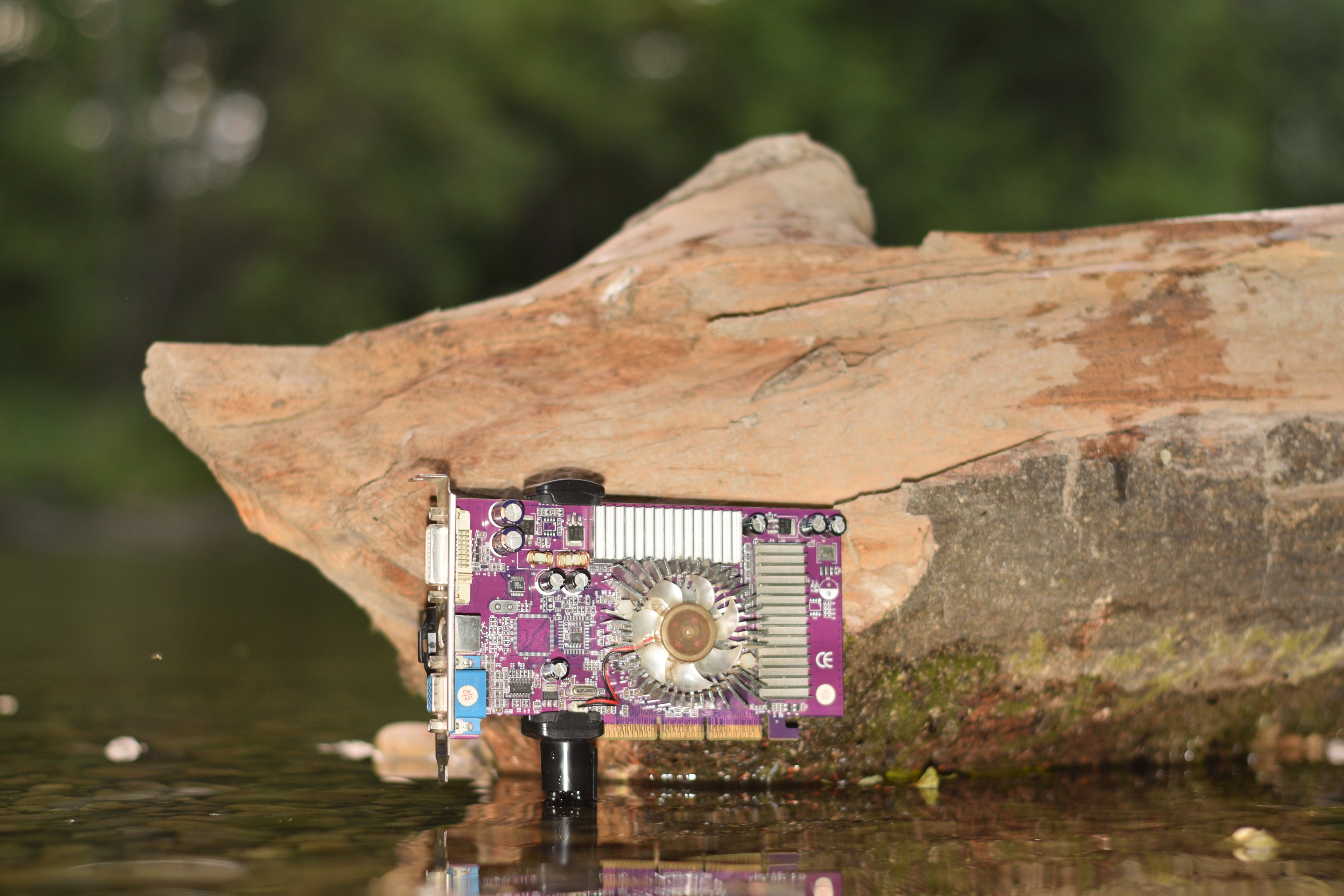 PNY Geforce FX 5600 (11).JPG