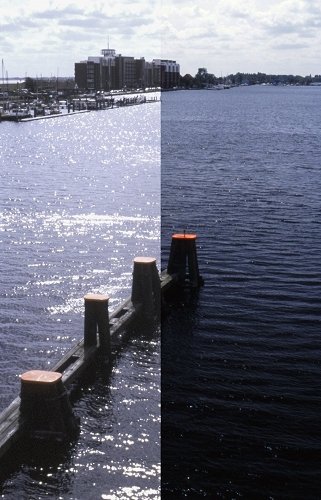 polfilter_wasser_klein-jpg.169573