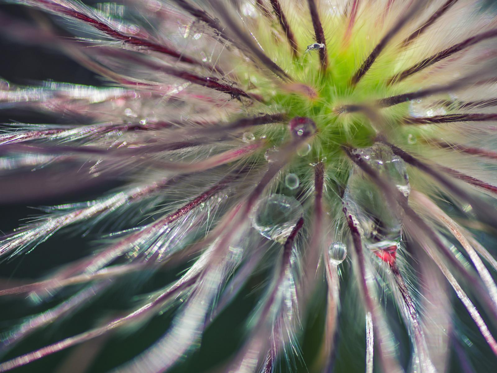 portfolio-0610-1540-jpg.315009