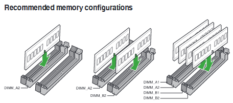 prime b350-plus x1.png