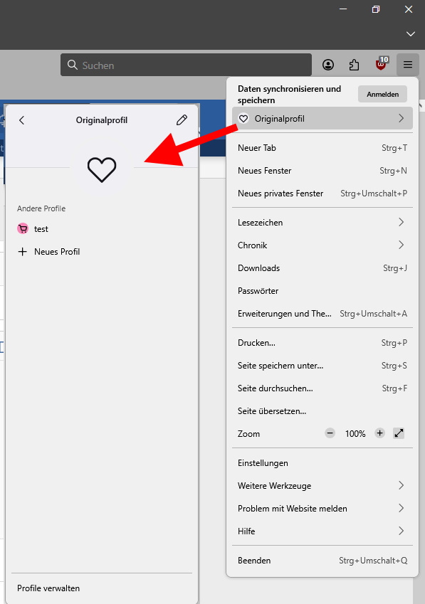 Profile im Fenster.jpg