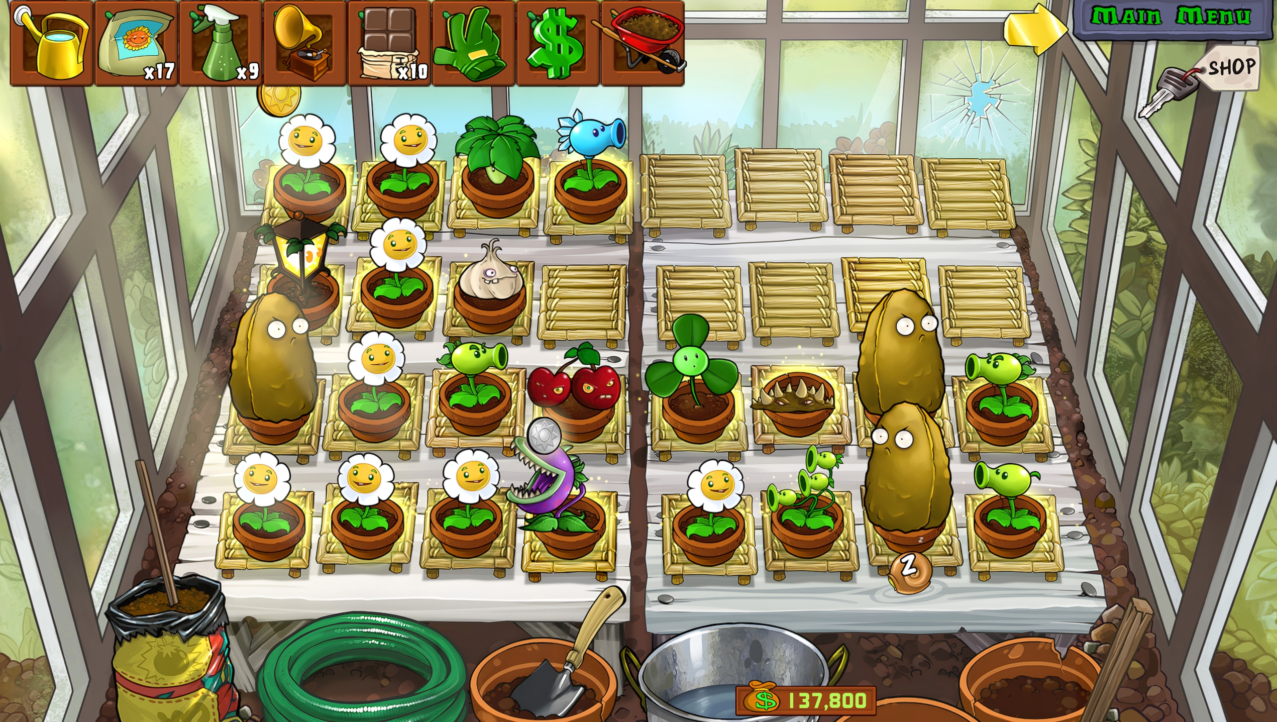 pvz garden.jpg