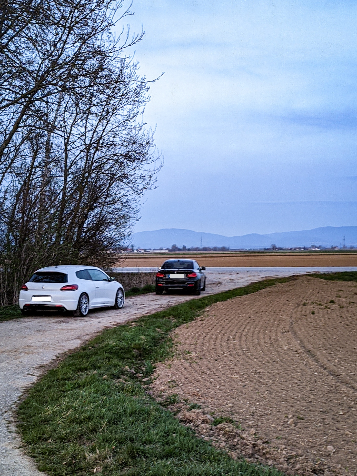 PXL_20210409_180200069 (1).jpg