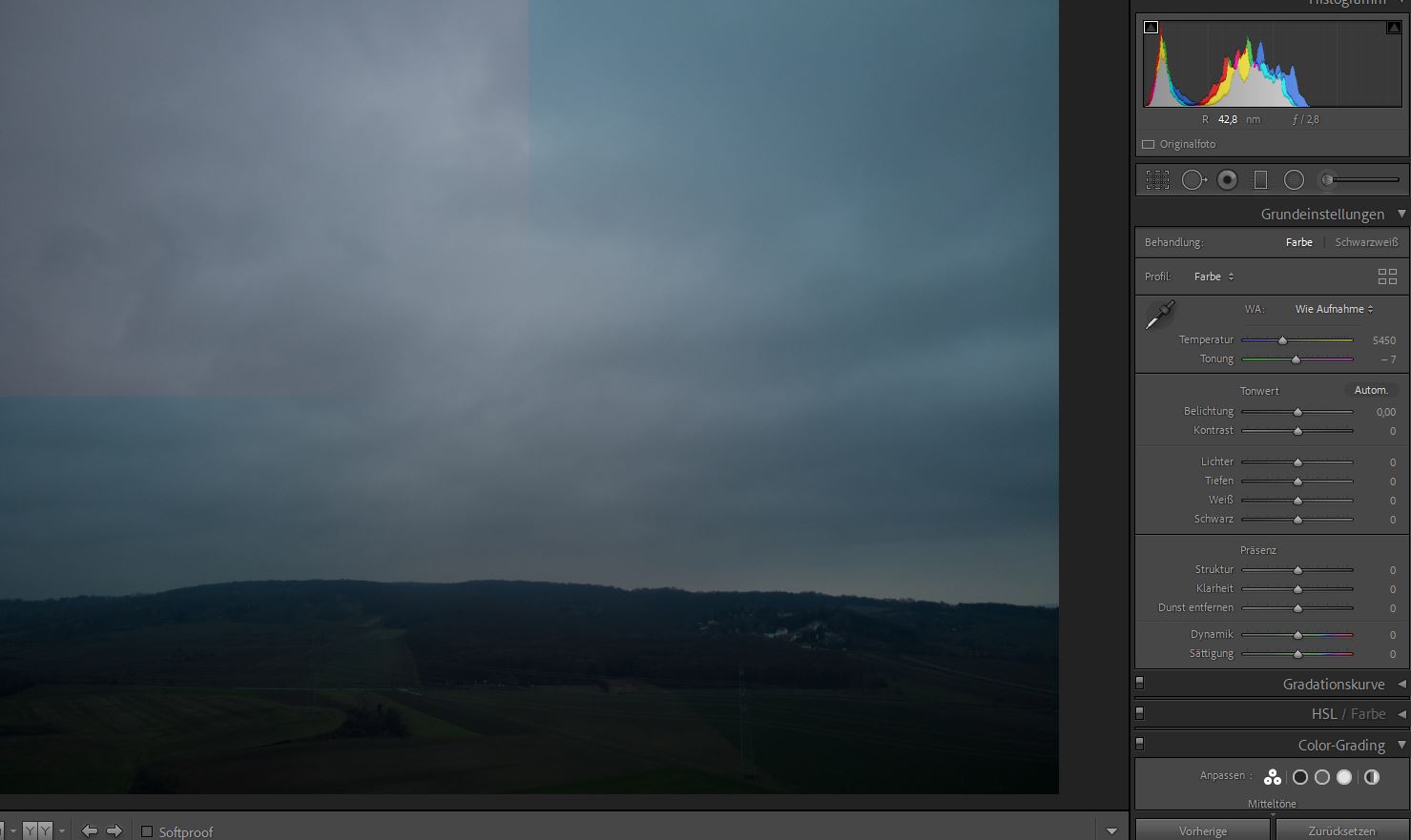 RAW aus dji mini2 mit Defekt oben links - zurückgesetzt.JPG