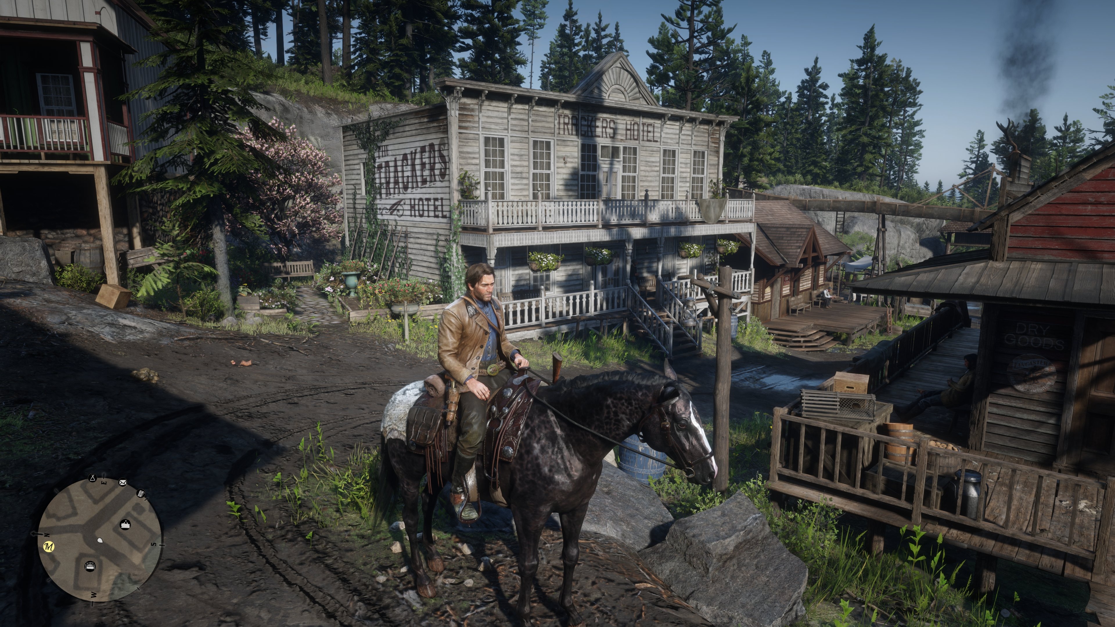 RDR2_2026_07_14_18_02_53_380.jpg