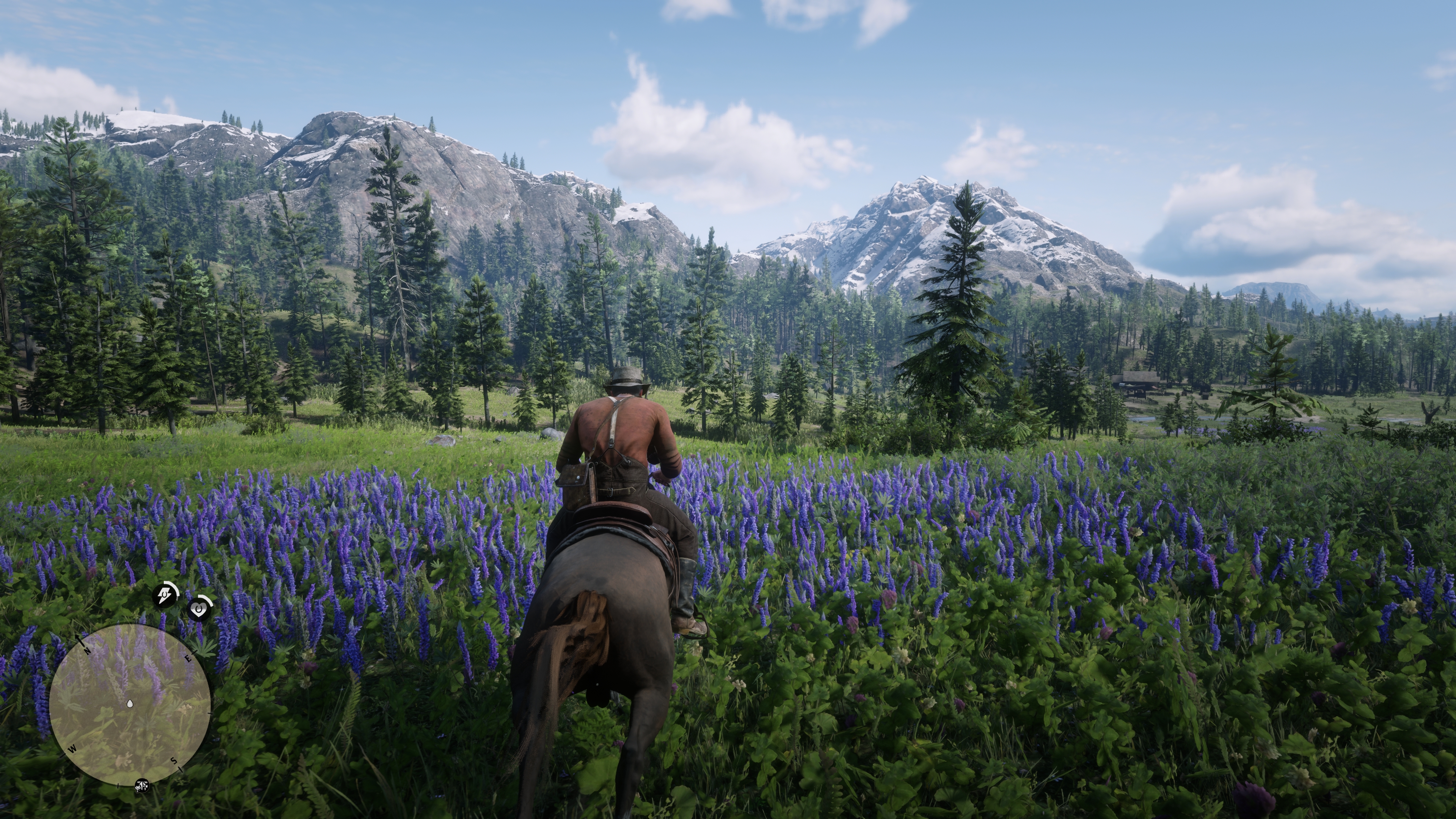 RDR2_2026_07_25_09_05_49_612.jpg
