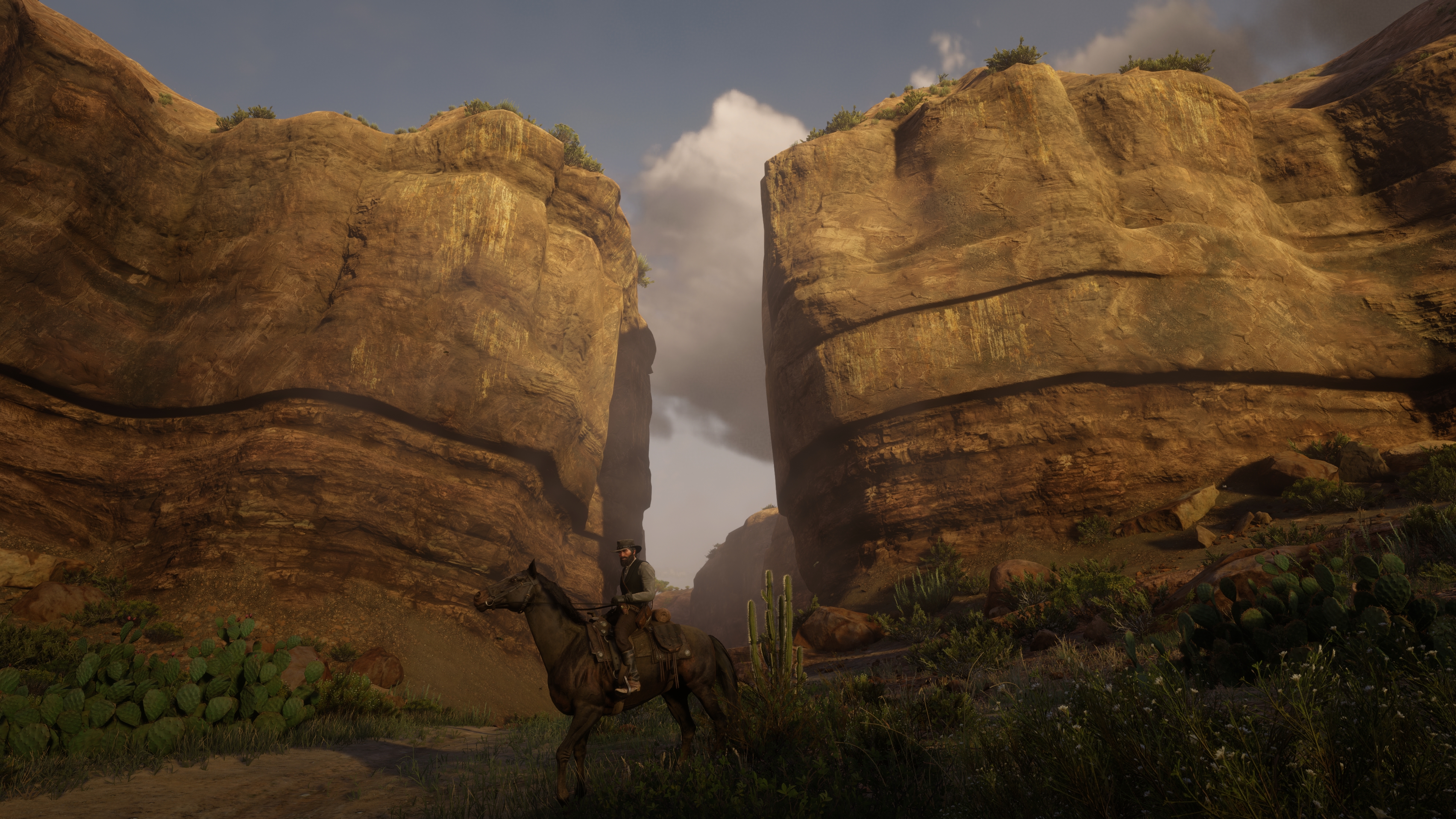 RDR2_2026_07_26_09_49_57_734.jpg