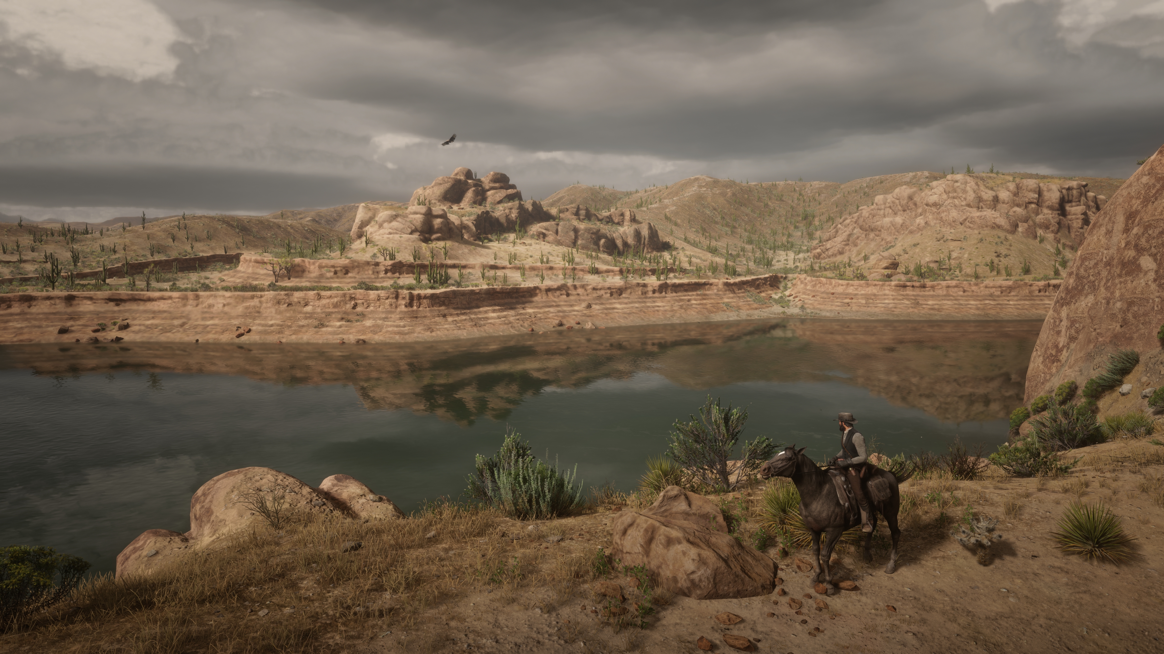 RDR2_2026_07_26_10_26_23_389.jpg