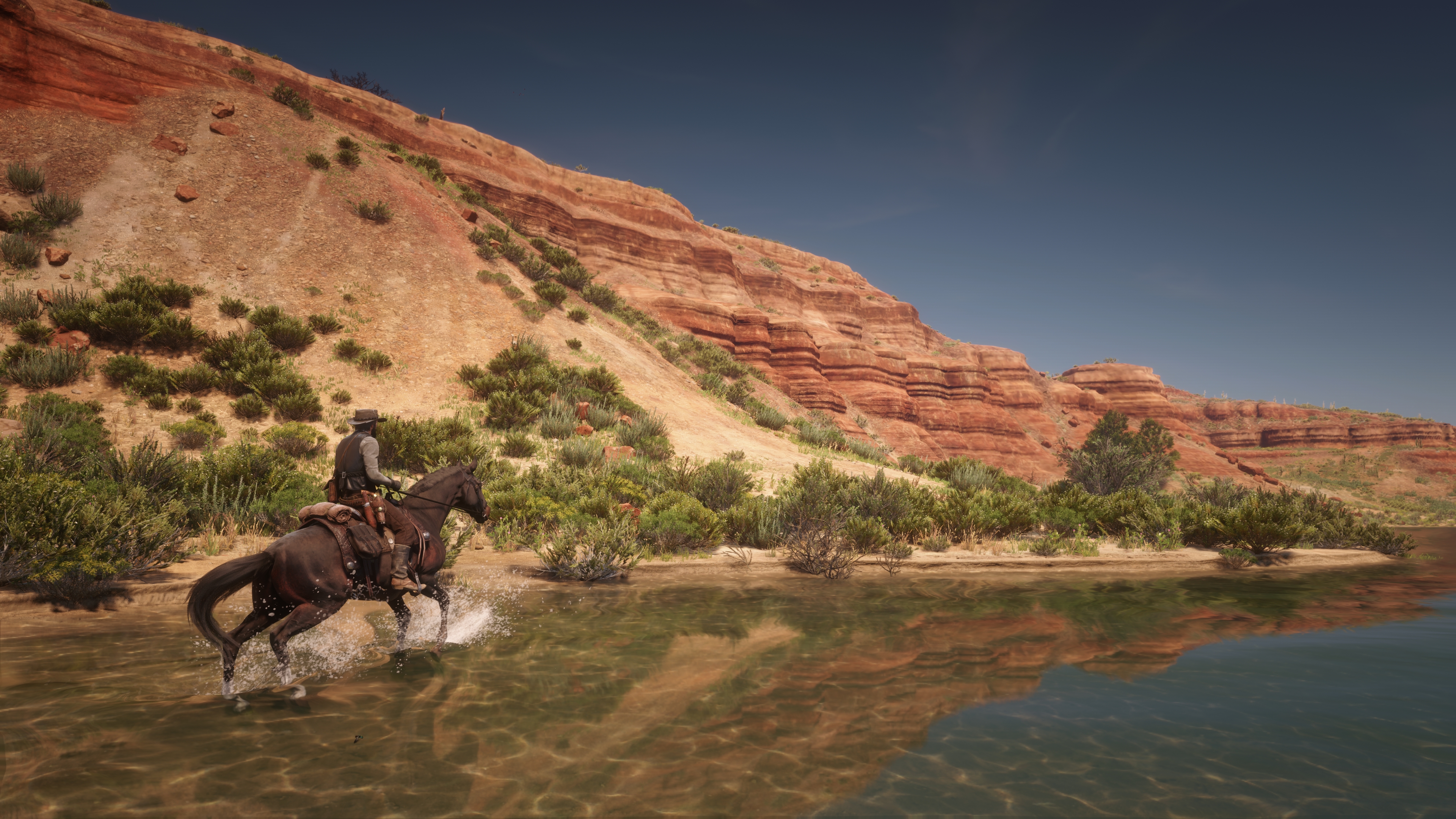 RDR2_2026_07_26_10_46_38_360.jpg