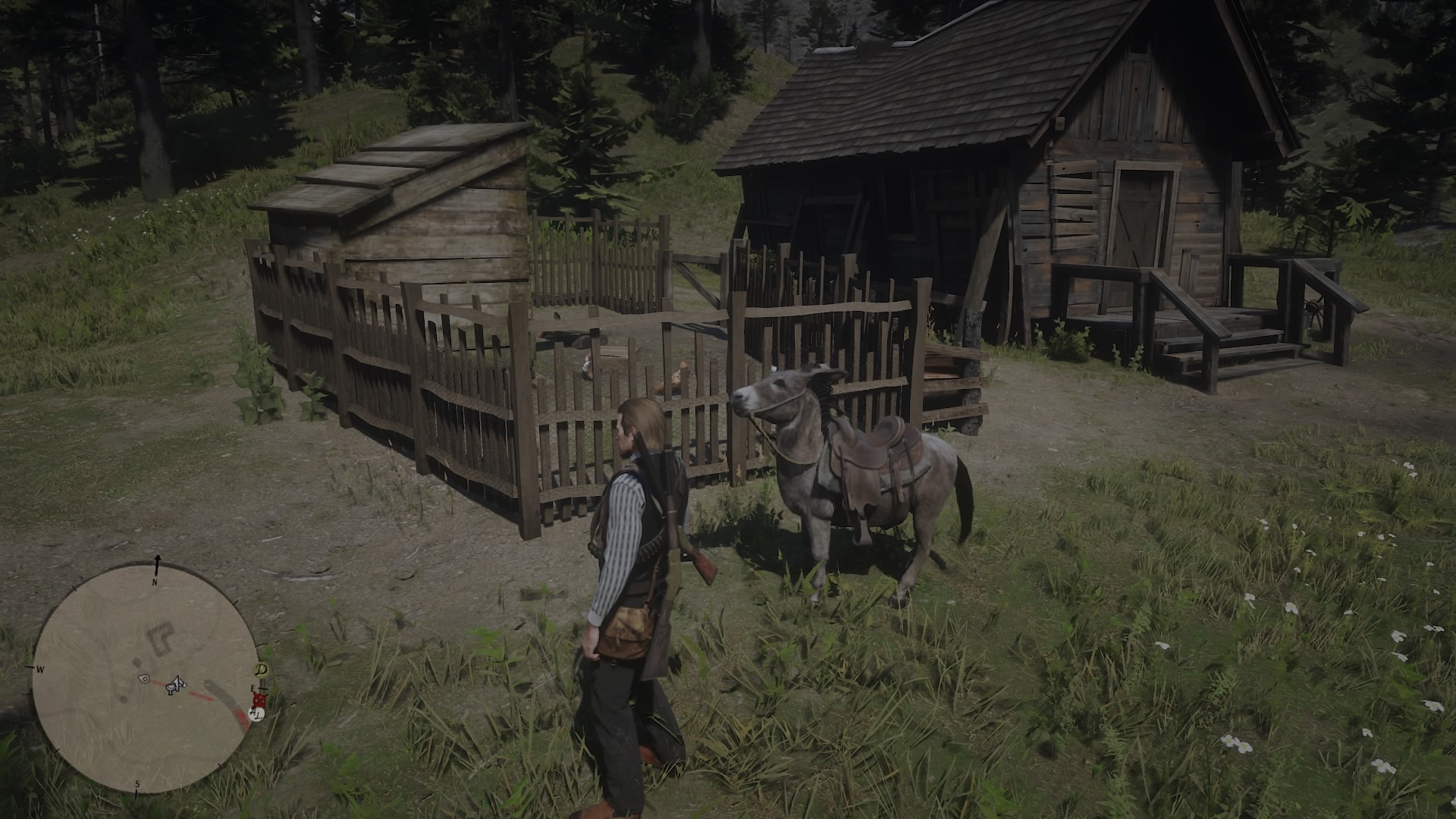 Red Dead Redemption 2_20201026174215.jpeg