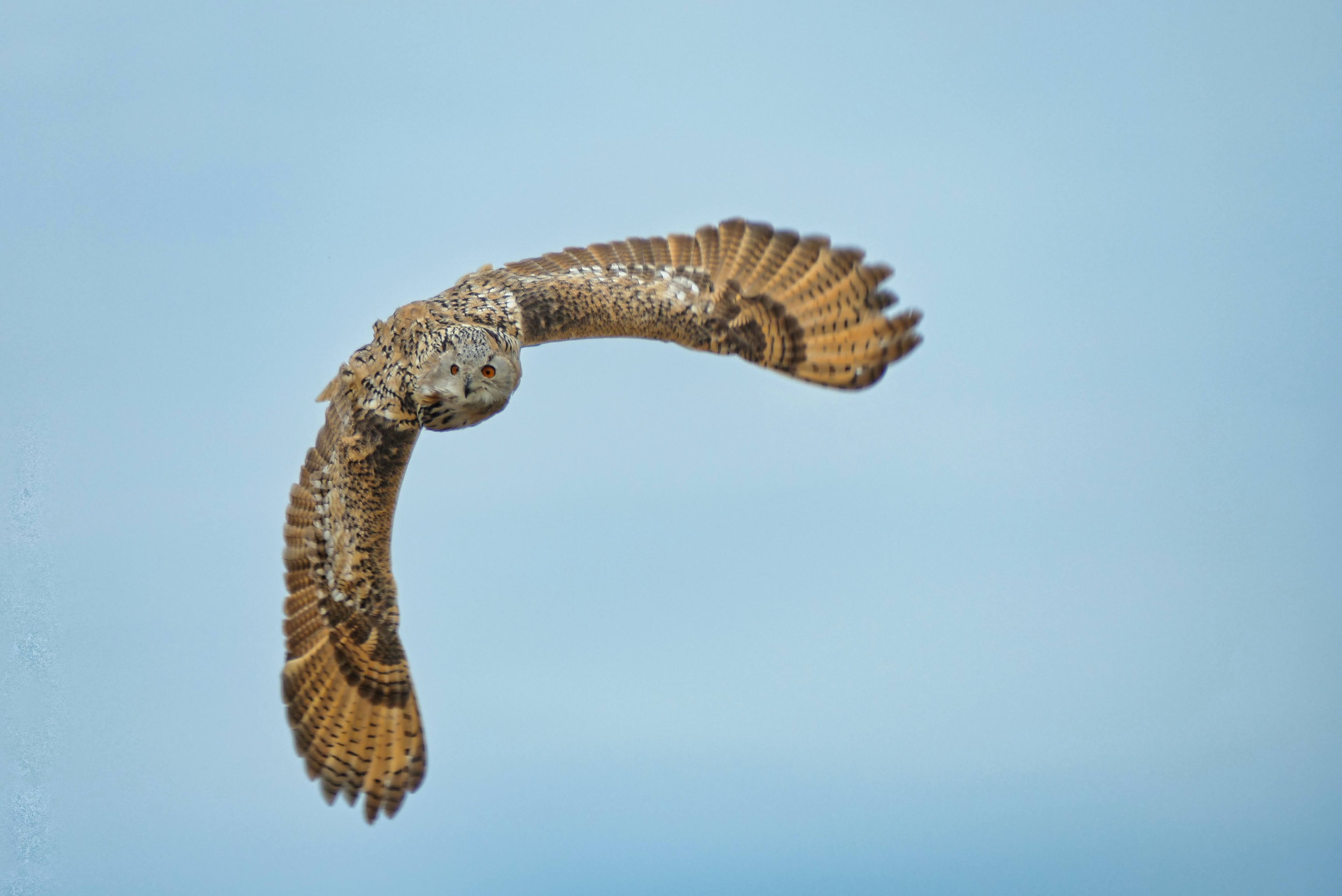 Riegersburg (23).jpg