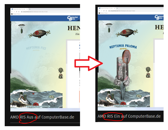 RIS - Wunderwerk.png