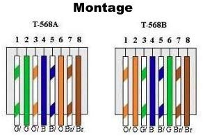 RJ45 Belegung.jpg