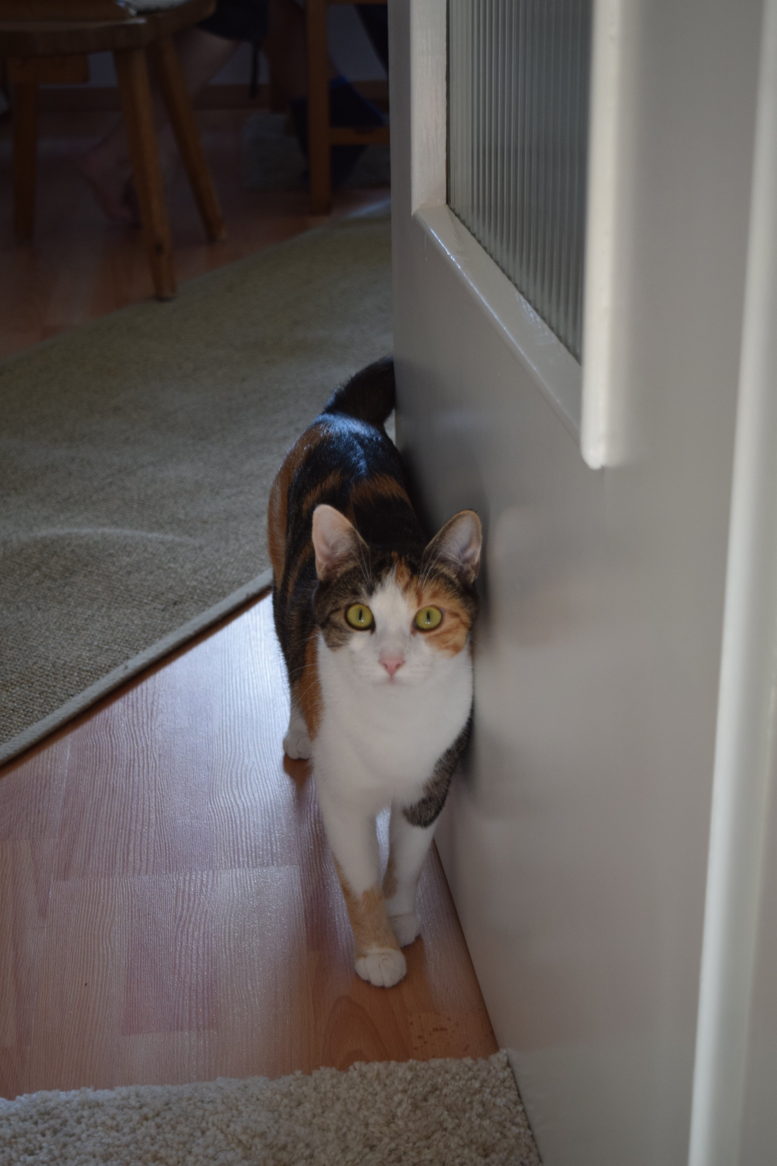 Rosi u Rubi 2017-07-16 (61).JPG