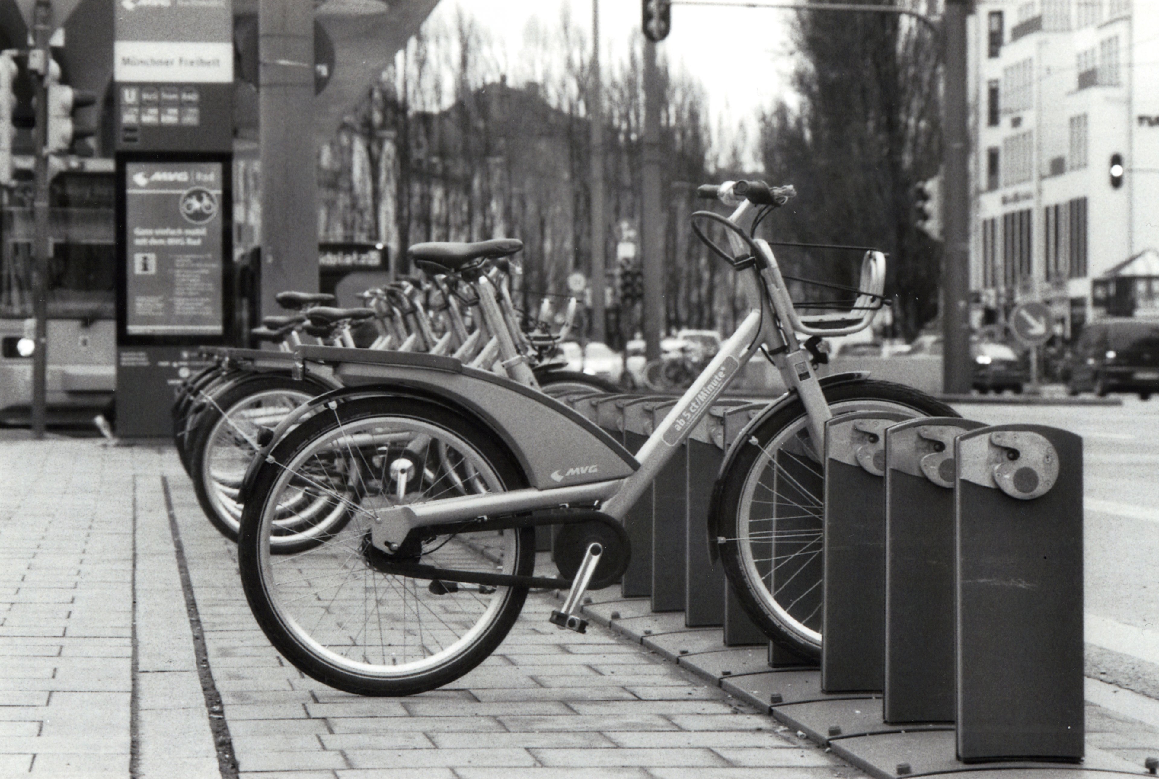 s-w Fotos 005 (1).jpg