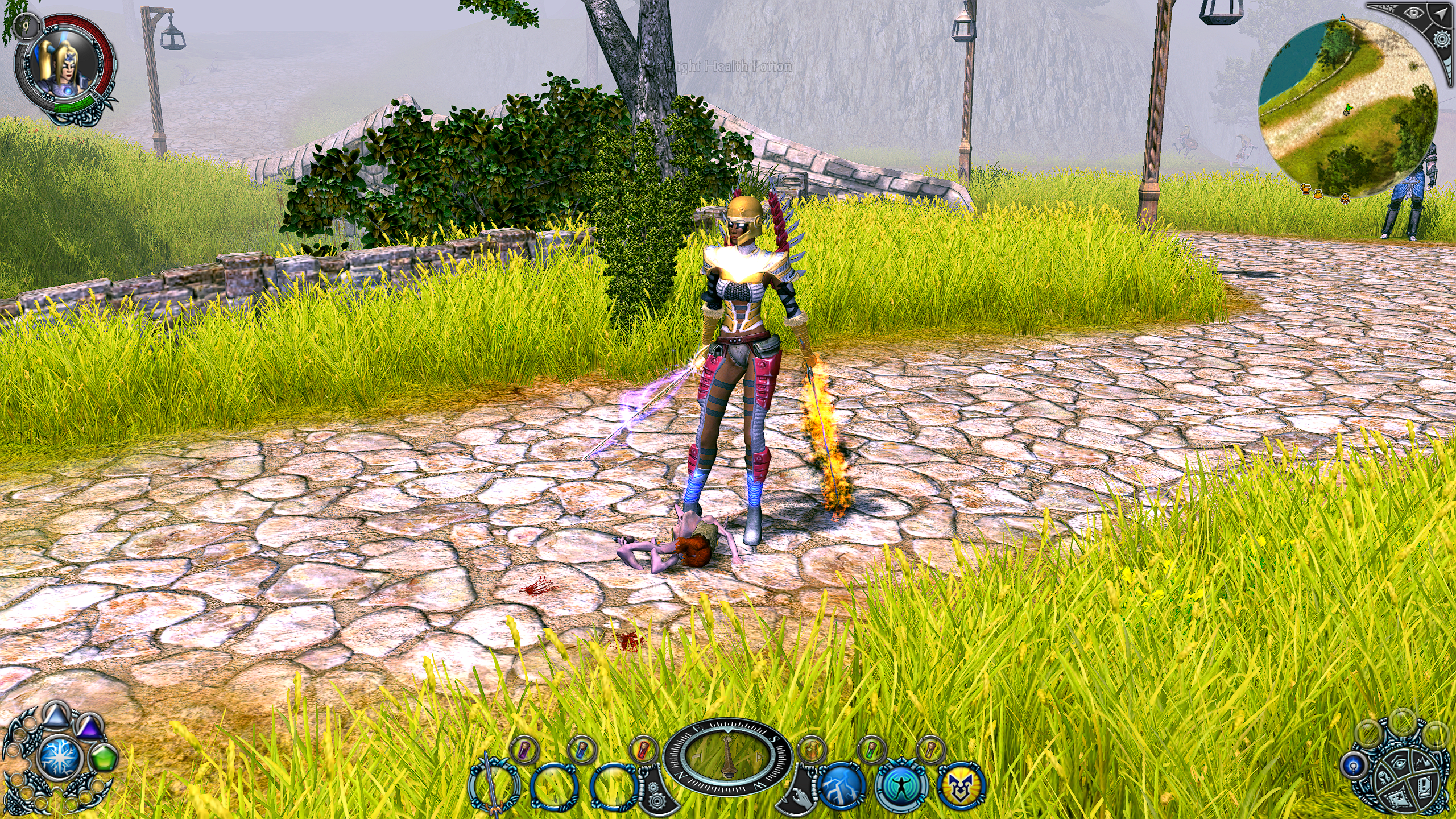 Sacred 2_2025.11.13-21.41_1.png