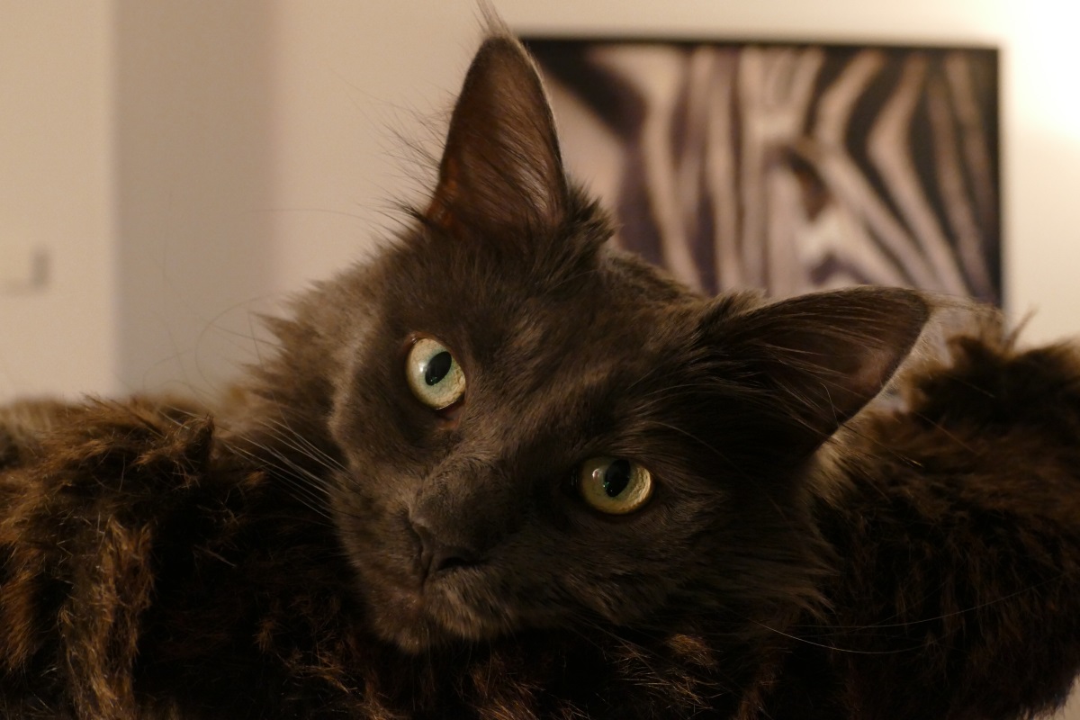 scale_down2-jpg.458446