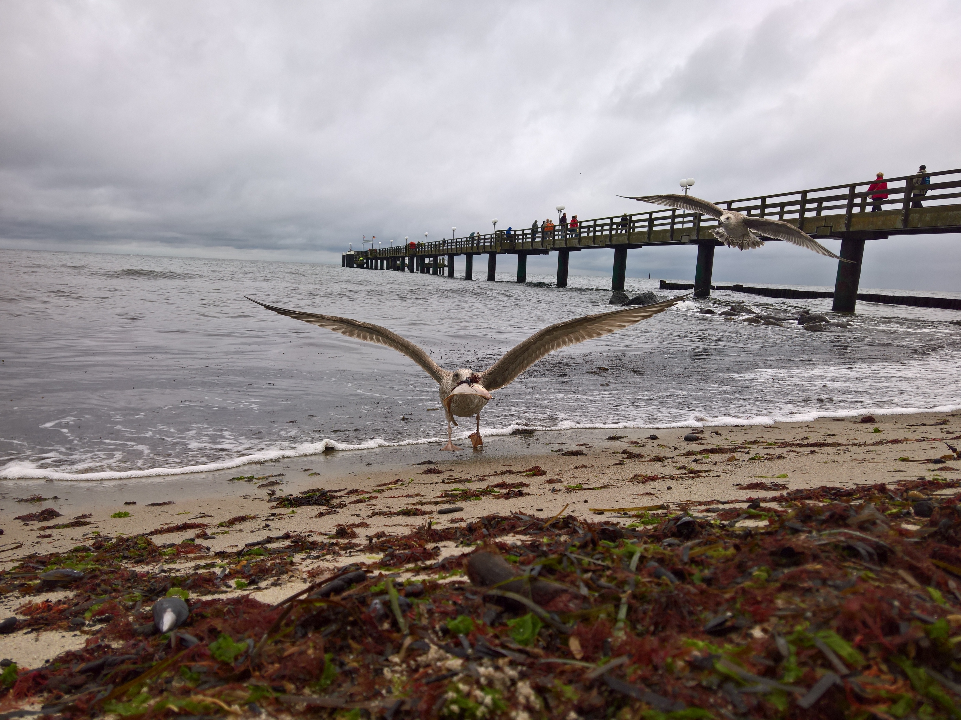 Schnappschuss 003.jpg