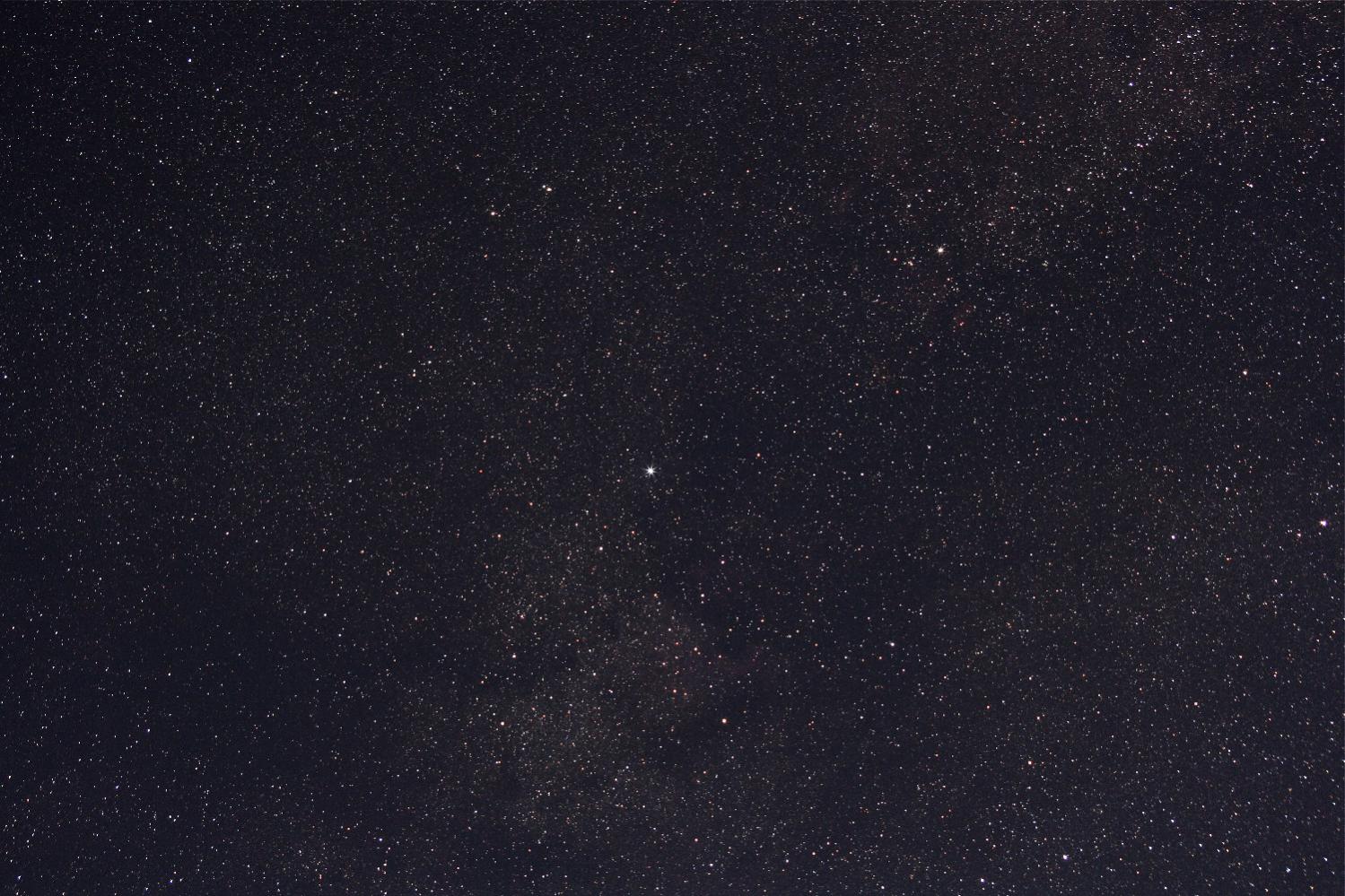 schwan-04-06-2010-55mm-jpg.251342