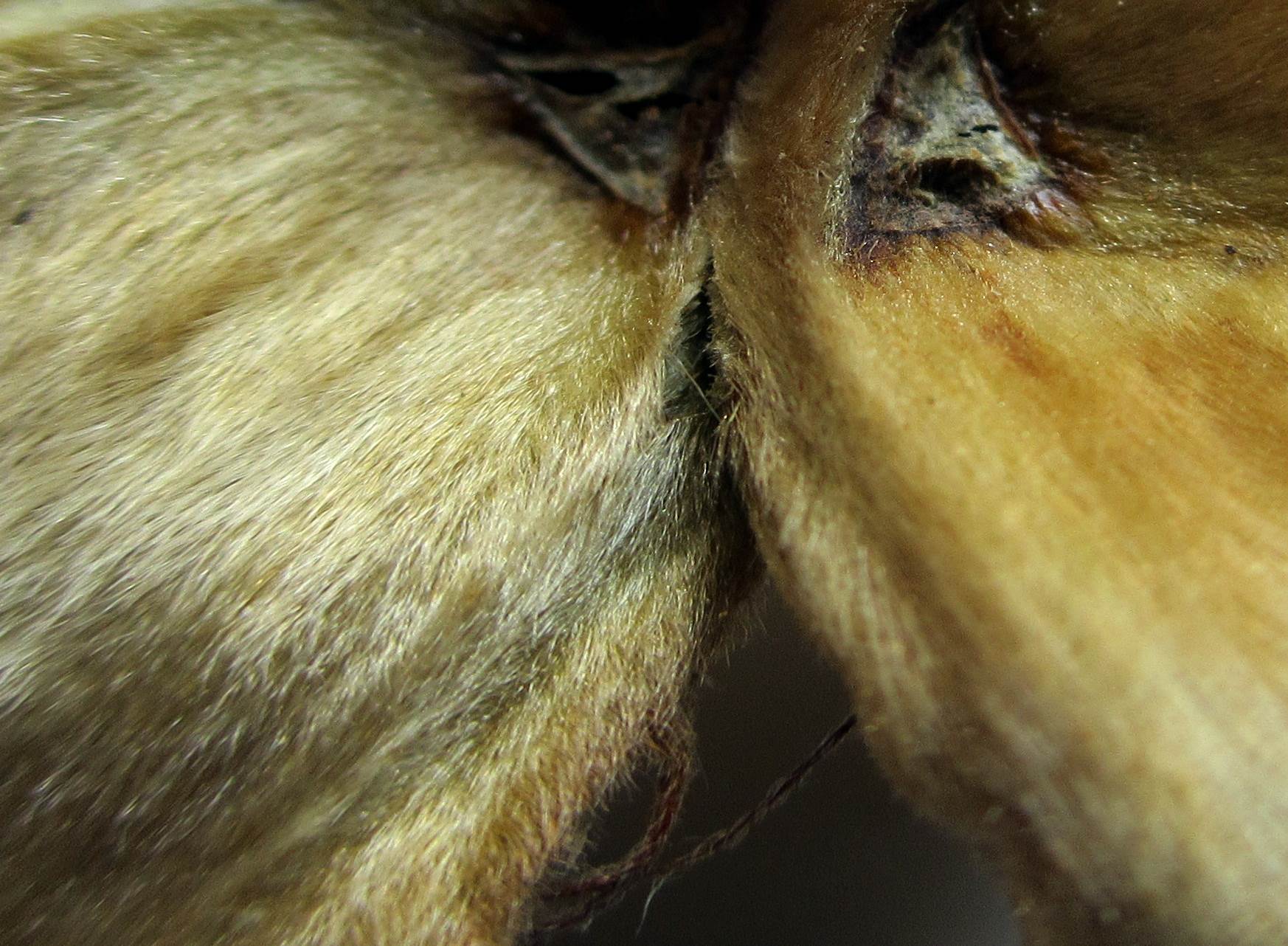 Schwieriges Rätsel 01.JPG