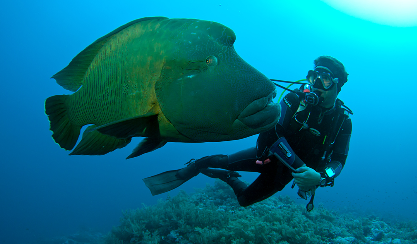 Screenshot 14.07.2025 um 12.13.57 PM.png