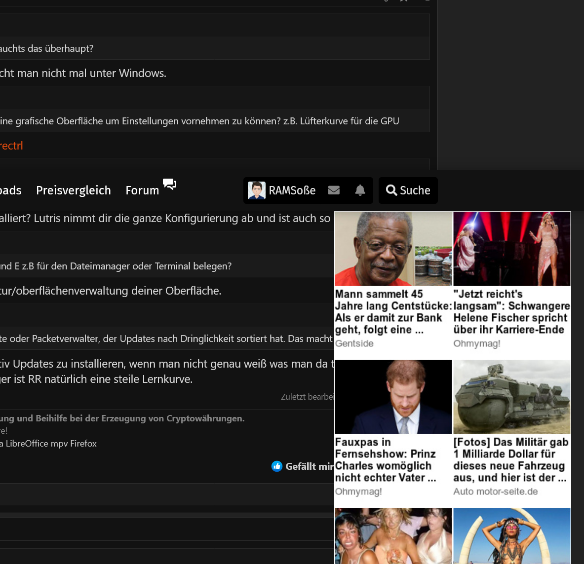 Screenshot 2021-11-29 at 13-06-21 Arch Linux Probleme - Treiber ect .png