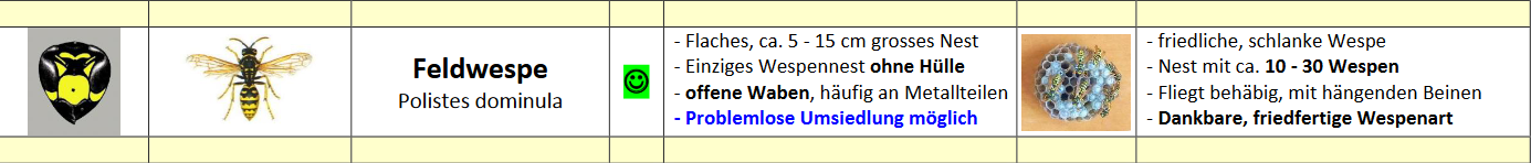 Screenshot 2023-08-09 114843.png