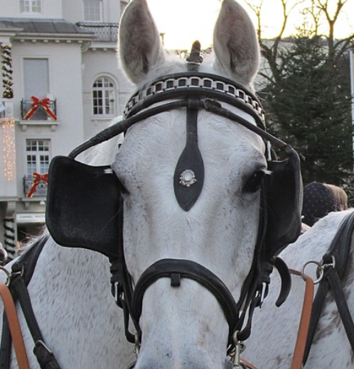 Screenshot 2024-01-22 at 18.00.52.png