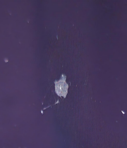 Screenshot 2025-02-13 004343.png