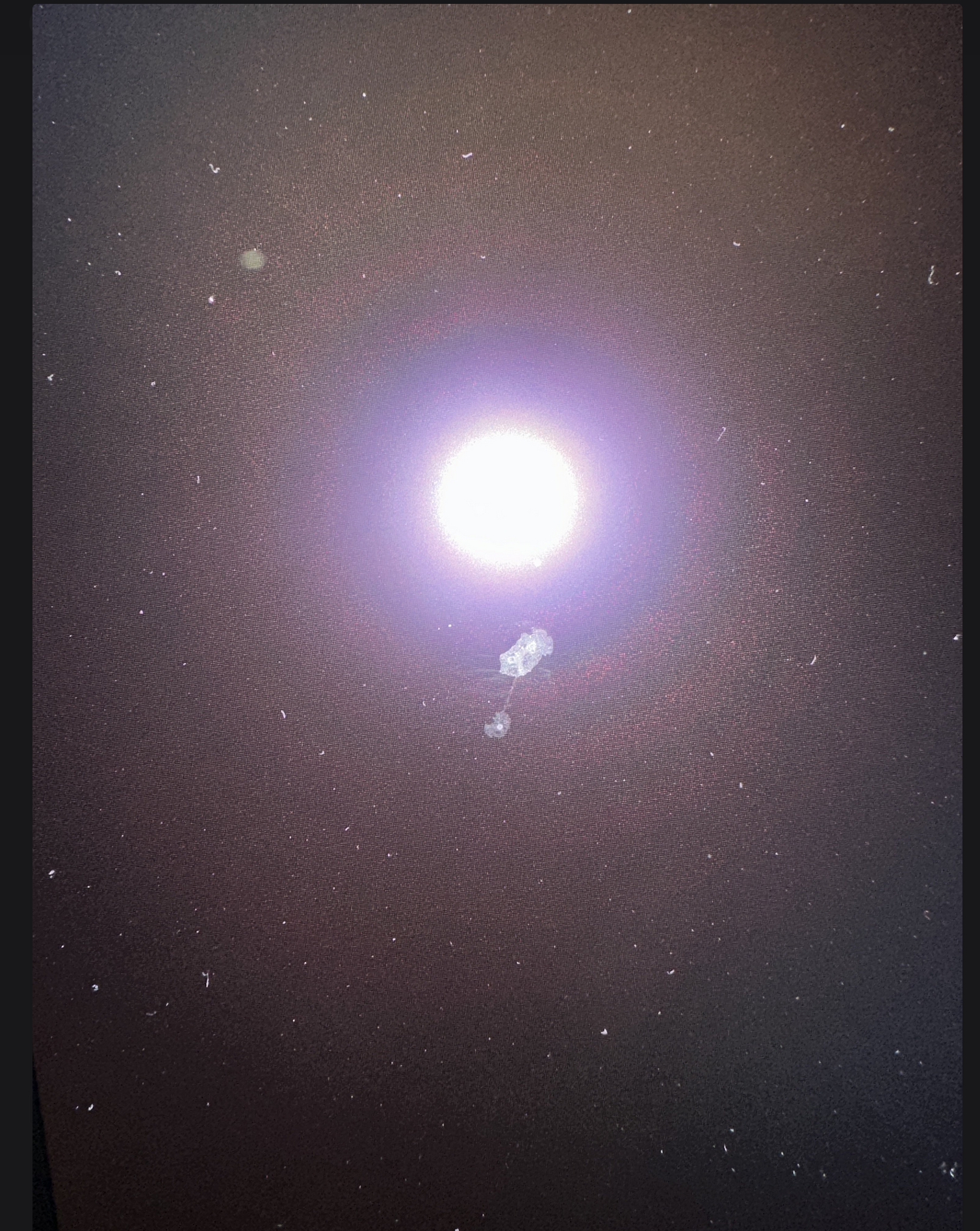 Screenshot 2025-02-16 191003.png