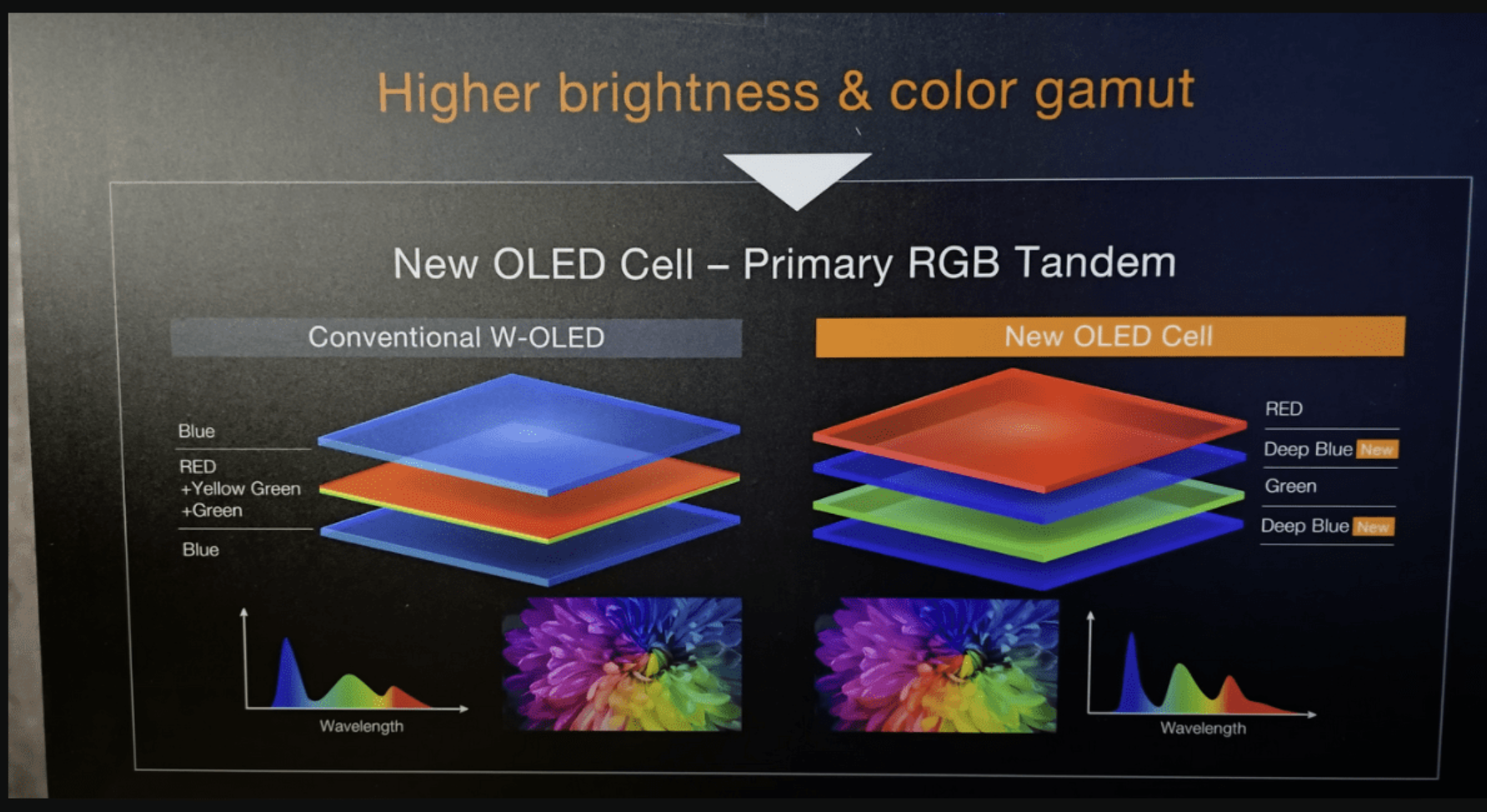 Screenshot 2025-03-08 232844.png