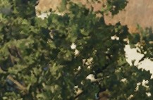 Screenshot 2025-03-16 113246.jpg